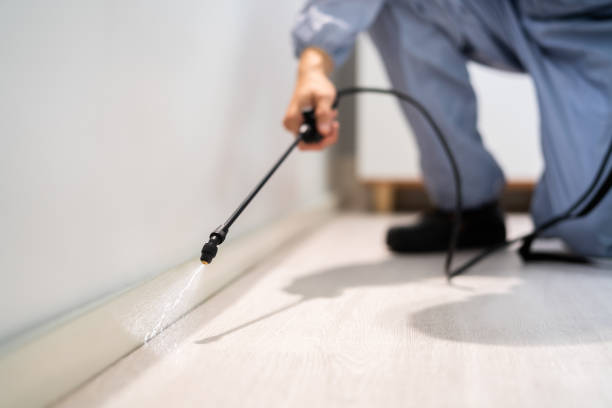Professional exterminator conducting IPM assessment in Davisboro